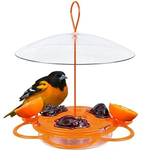 Nature’s Way OFP1 All-in-One Oriole Buffet Bird Feeder, Orange