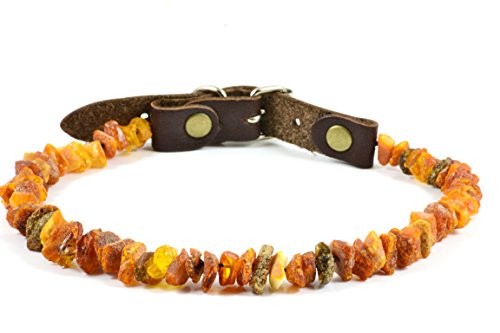Bernsteinkette für Hunde und Katzen mit Lederschließe aus Roh Baltischer Bernstein / Elegance Zeckenhalsband / Flohband / Bernstein Gegen Zecken / Zecken und Flohschutz Halsband / Zeckenschutz Hund / Ungezieferhalsband