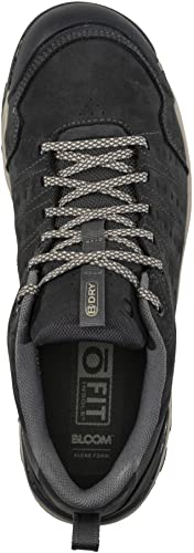 Image of Oboz Men's Sypes Low Leather B-Dry Hiking Shoe