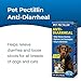 PetAg Pet Pectillin Anti-Diarrheal - 4 oz, Pack of 3 - Helps Relieve Diarrhea or Loose Stool in Dogs and Cats - Replaces Lost Electrolytes - Easy to Administer