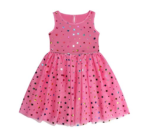 Danichins Girls Knit Sleeveless Tutu Dress Layered Tulle Sparkle Dress(Rose, 5) #TOP9