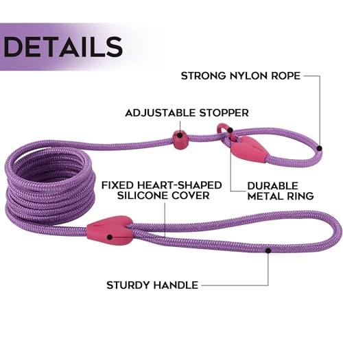 Dog Leash Multicolor Options