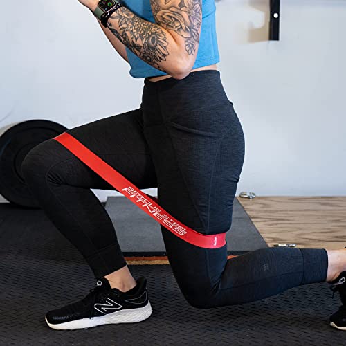 Image of Serious Steel Fitness Mini Resistance Loop Bands | Rehab and Prehab Stretch Bands | 12 inch Exercise Workout Bands (Sets of 5 Pack and Sets of 10 Pack Trainer Options Available!)