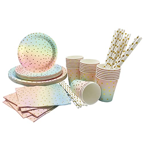 120 Stück Geburtstag Party Geschirr, Partyzubehör Pappteller Set einschließlich Tischdecke Teller Becher Servietten Strohhalme für Babydusche Geburtstag, Hochzeiten,Jubiläums Cover