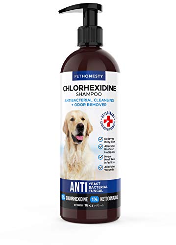PetHonesty Antibacterial & Antifungal Chlorhexidine Shampoo 16 oz. w/Ketoconazole & Aloe for Dogs