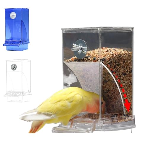 �������p�a�� ����/�� �I�E���p�a���� �U�炩��Ȃ� ���ڂ�Ȃ� ��e�� �C���R�A�J�i���A�A�I�J���C���R�A�t�B���`�A�R�j���A�p�������A�N�Z�T���[ (����)