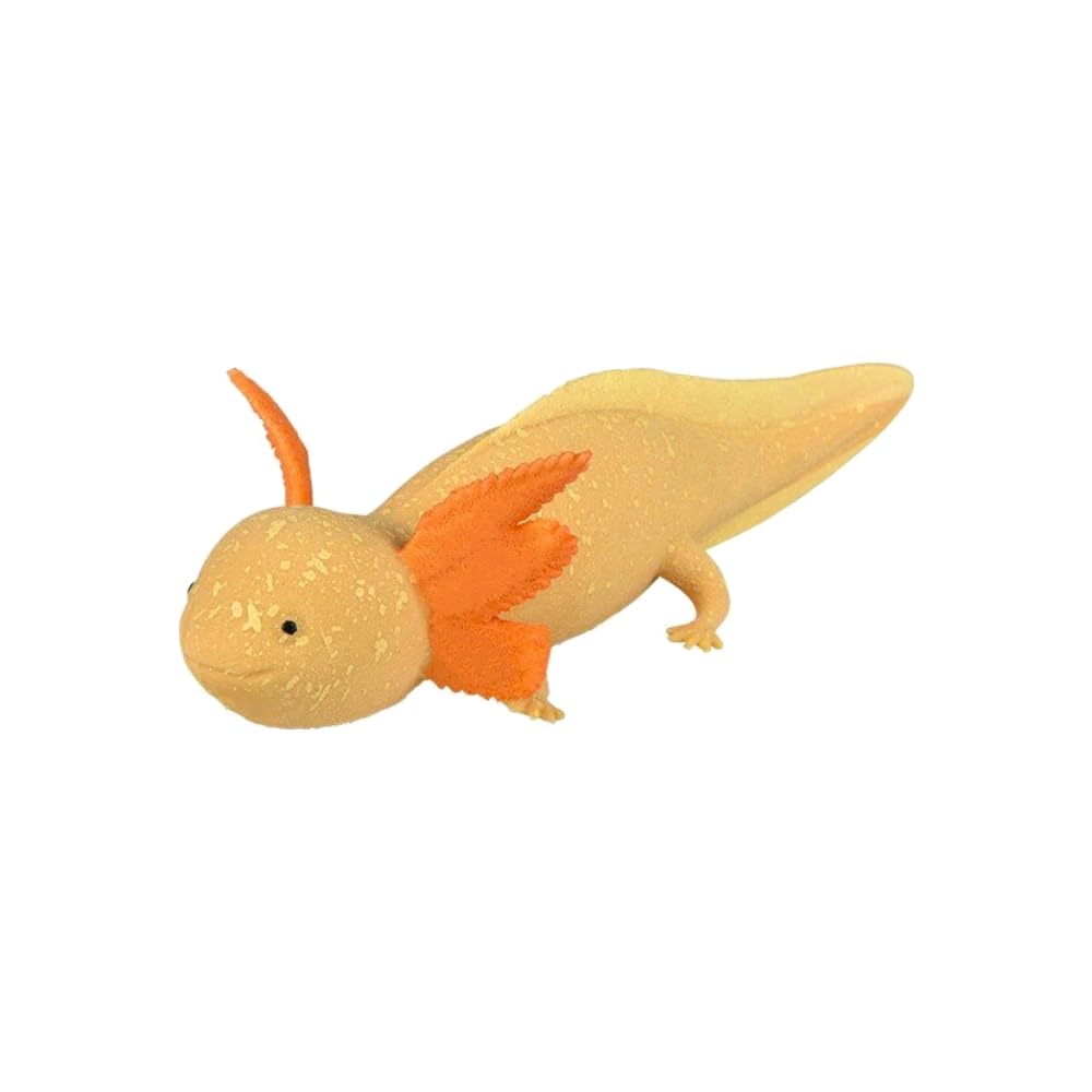The System Sellers Growing Axolotl, Choose 6 or 9 Inches, Aquatic