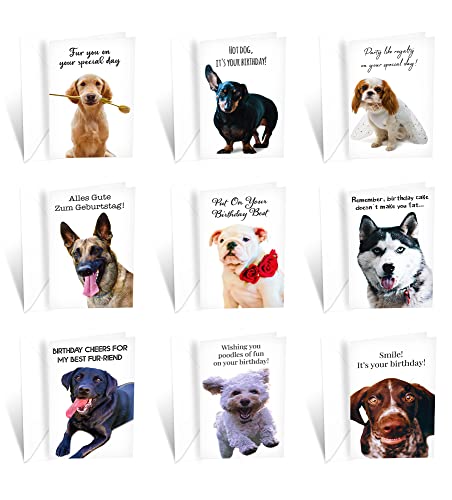 Prime Greetings 24 Funny Dog Birthday Card Assortment - Greeting Card Assortment - Funny Birthday Cards Bulk - Boxed Birthday Cards Box Set With Message Inside, Made In America, Eco-Friendly #TOP1