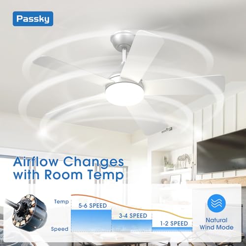 Image of Passky Ceiling Fans with Lights, 42 inch Sleek Ceiling Fan with Light and Remote Control, 3CCT, Dimmable, Reversible, Noiseless, Silver Ceiling Fan for Bedroom, Living Room