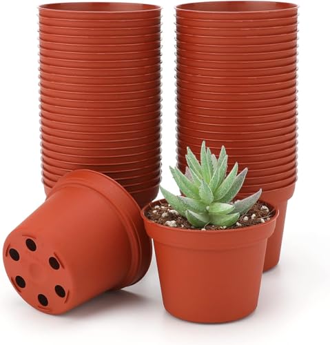 serazat 50 Pack Mini Brown Plastic Pots