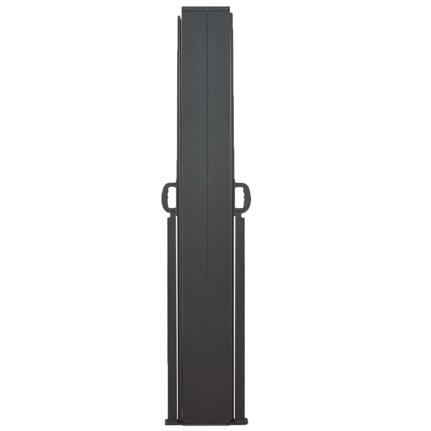 IDMarket - Paravent extérieur rétractable Double 160x800 cm