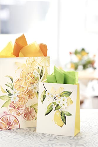 Image of Papyrus 9 inch Medium Gift Bag (Citrus) for Birthdays, Weddings, Bridal Showers, Baby Showers and All Occasions (1 Bag)