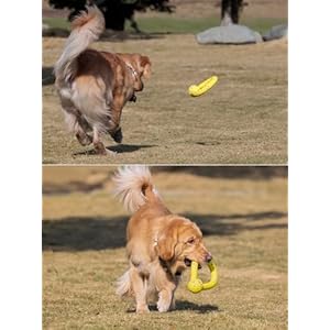 Indestructible Dog Toys Dog Toys for Large Dogs Flying Discs for Mediumlarge Breeds Dog Training Ringfloating Dog Ring Toys for Throwingcatching Flying Lightweight Dog Toy blue  Cucciolini Doodles Indestructible dog toys dog toys for large dogs flying discs for mediumlarge breeds dog training ringfloating dog ring toys for throwingcatching flying lightweight dog toy blue   cucciolini doodles