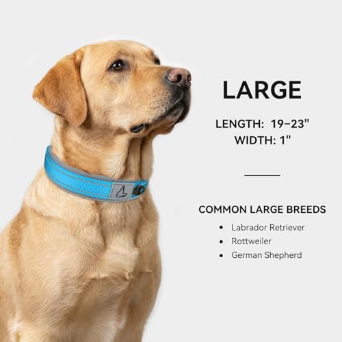 Image of Joytale Dog Collar for Large Dogs, Neoprene Padded and Adjustable, Reflective Wide Heavy Duty Pet Collars with Durable Metal Belt Buckle for Walking, Sky Blue, L