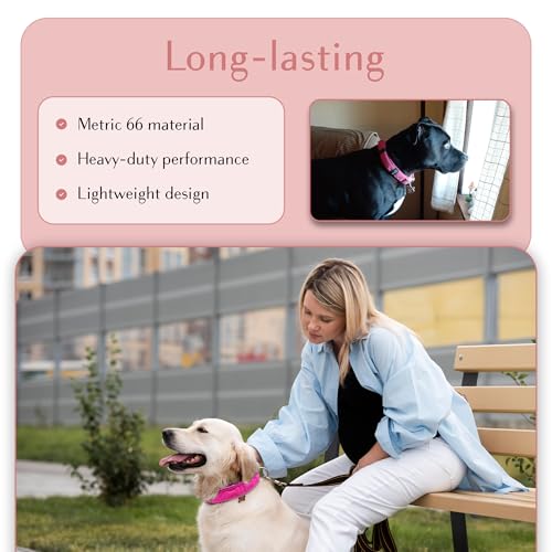 Collar para perro ajustable cómodo, impermeable y reflectante miniatura 4