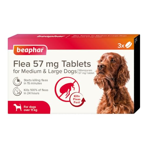 Beaphar - Flea Tablets for Medium/Large Dogs (>11kg) - 3 Treatment Pack - Rapid Knock Down of Fleas - Starts Killing Fleas In 15 Minutes Kills 100% in 24hrs - Veterinary Medicine For Dogs > 4 Weeks