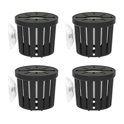 Patifirst Soporte de Plantas de Acuario,Decoración De Paisajismo con Ventosas | Cestas para Plantas de Pecera   para Sala, Dormitorio, Restaurante, Apartamento, Navidad, Regalo de Casa y Cumpleaños