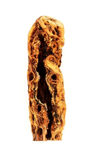 Awesome Industries Natural Cholla Wood Chunk Large Air Plant Display Holders Individually Unique Decorative Stands or Holder (Cholla Chunk Extra Large) Awesome Industries Natural Cholla Wood Chunk Large Air Plant Display Holders Individually Unique Decorative Stands or Holder (Cholla Chunk Extra Large)