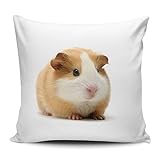 Merchandise for Fans