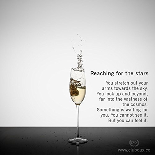 The Excelsior - 100% Lead-Free Handmade Crystal Champagne Flutes, Set Of 2 Glasses, 10-Ounce #TOP1