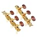 Eujgoov 2Pcs Guitar Tuning Pegs Classical Guitar Tuner Keys Pegs Adjustable Guitar String Tuning Pegs