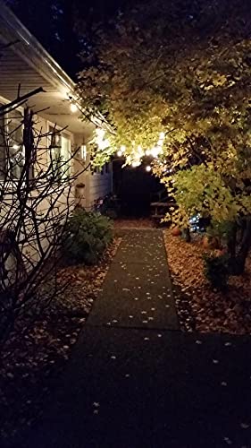 Rolay 11 Watt Outdoor Light Bulbs, S14 Warm Replacement Bulbs For Outdoor Patio String Lights With E26 Base, Pack Of 25 #TOP7