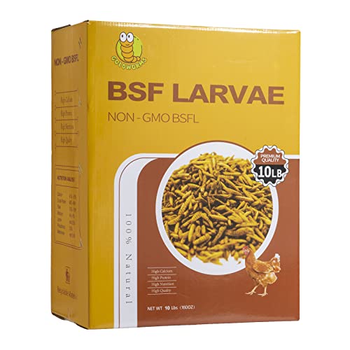 GOLDWORMS 10LBS Dried BSF Larvae/Dried Mealworm,85x More Calcium Than Mealworms,100% Natural - Non GMO Black Solider Fly…