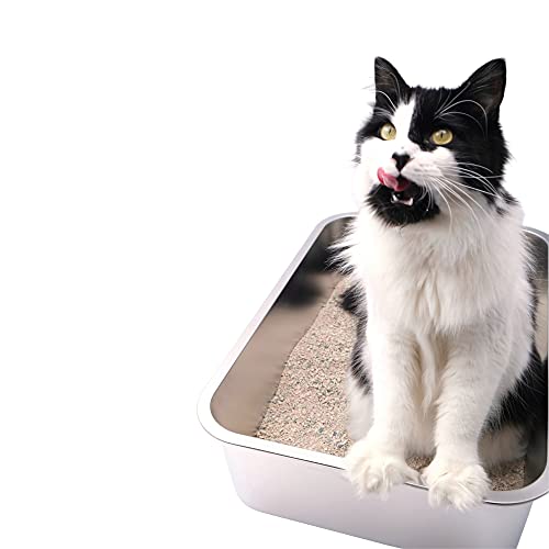 Arenero de Acero Inoxidable para Gatos XL miniatura 2