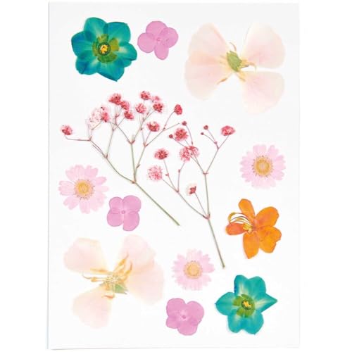 Fiori secchi e pressati Rico Design Turquesa miniatura 1