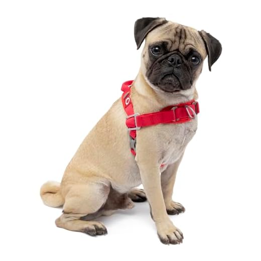 Kurgo Dog Harness | No Pull Training Pet Walking Harness | Harnesses for Dogs Or Pets | Adjustable | Reflective | Easy Control | Front D-Ring Clip | Walk About Training Harness | (Small), Chili Red