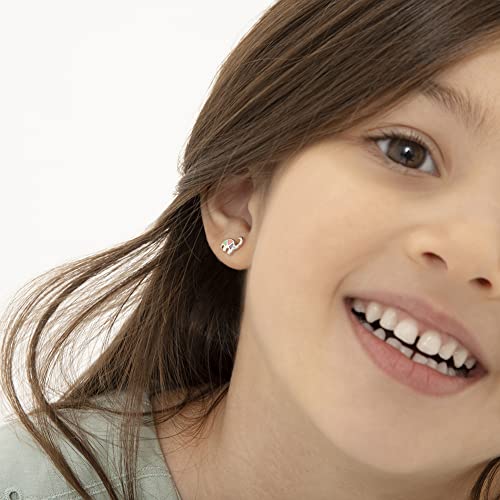 Sterling Silver Petite Multicolor Enamel Dinosaur Stud Earrings for Girls and Preteens - Dainty Dinosaur Earrings for Little Girls Daily Wear2