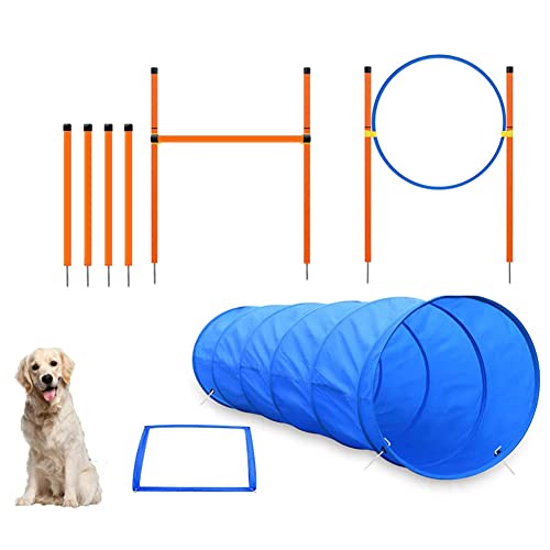 N.F. Agility Sport pour Chiens équipement,Cours d'entraînement d'agilité d'obstacles pour Chien en Plein air, de 180 cm, bâtons de Tissage d'agilité, Haies réglables, Anneau de Saut, boîte de Pause
