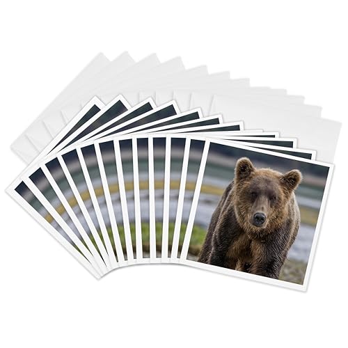 Cartes de vœux ours brun pour ne plus jamais manquer de jolies cartes de 15x15 cm