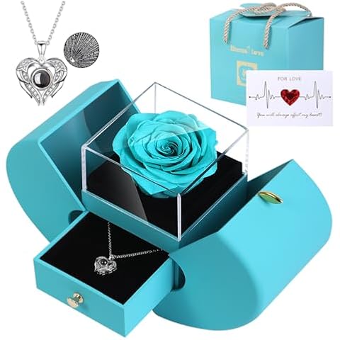 Firestyle Preserved Rose and Necklace Set Cover