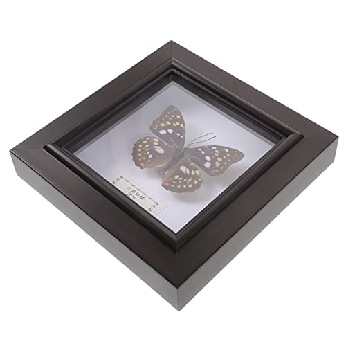 Yardenfun Simulated Butterfly Specimen Frame Handmade Wall Hanging Decor for Home Decoration DIY Display Frame Unique Artwork for Living and Bedroom