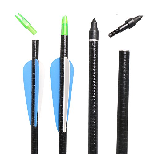 I-Sport 32" Archery Fiberglass Targeting Arrows With Screw-In Tips 100 Grain Broadheads For Compound Bow Or Recurve Bow(Pack Of 6) #TOP6
