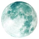 TEMPNAP 夜光ムーンウォールステッカー 蓄光素材 簡単貼付け可能 寝室 リビング向け壁装飾 グリーン光る月デザイン