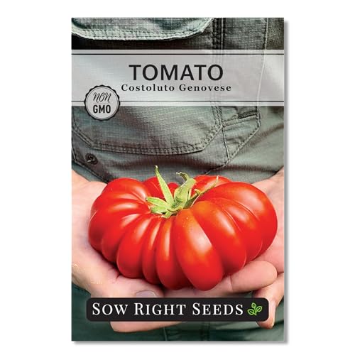 Sow Right Seeds - Costoluto Genovese Tomato Seeds for Planting - Non-GMO Heirloom Indeterminate...