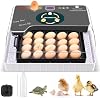 Incubadora de 12 Huevos - Giro Automático de Huevos, Control de Temperatura, Cándido Integrado, Recarga Automática de Agua para Eclosionar Huevos de Pollo, Pato, Codorniz y Aves 2
