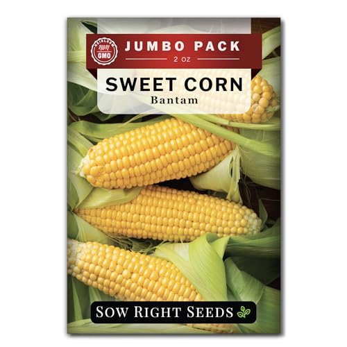 Sow Right Seeds - Bantam Sweet Corn Seed for Planting - 2 Ounce, 200 Seeds - Non-GMO Heirloom Bulk Packet with Instructions to Plant a Home Vegetable Garden - Grow Loads of Tall Sweet Yellow Corn