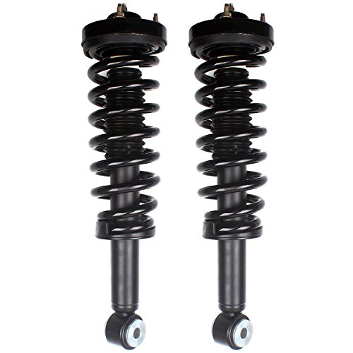 Complete Assemblies,Eccpp 2Wd Complete Strut Spring Assembly For 2009 2010 2011 2012 For Ford F150 Rwd 171140 Front Left And Right #TOP11
