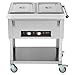 VEVOR 2-Pan Commercial Food Warmer, 2 x 20.6QT Electric Steam Table, 1000W Professional Buffet Catering Food Warmer with 4 Wheels (2 Lockable), Food Grade Stainless Steel Server for Party Restaurant