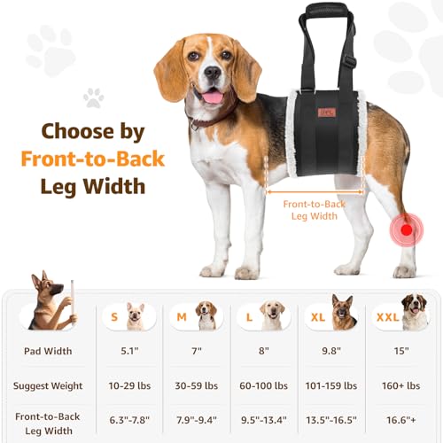 Image of Adjustable Dog Lift Harness, Dog Sling for Large Dogs Hind Leg Support, Soft Lift Support Helps Senior, Injured, Disabled and After ACL Surgery Dogs-Black & Grey (Medium)