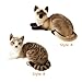 GUDVES Siamese Cat Stuffed Animal, Shorthair Cat Realistic Plush Cat Stuffed Toys, Gift for Kids 12inches (B)