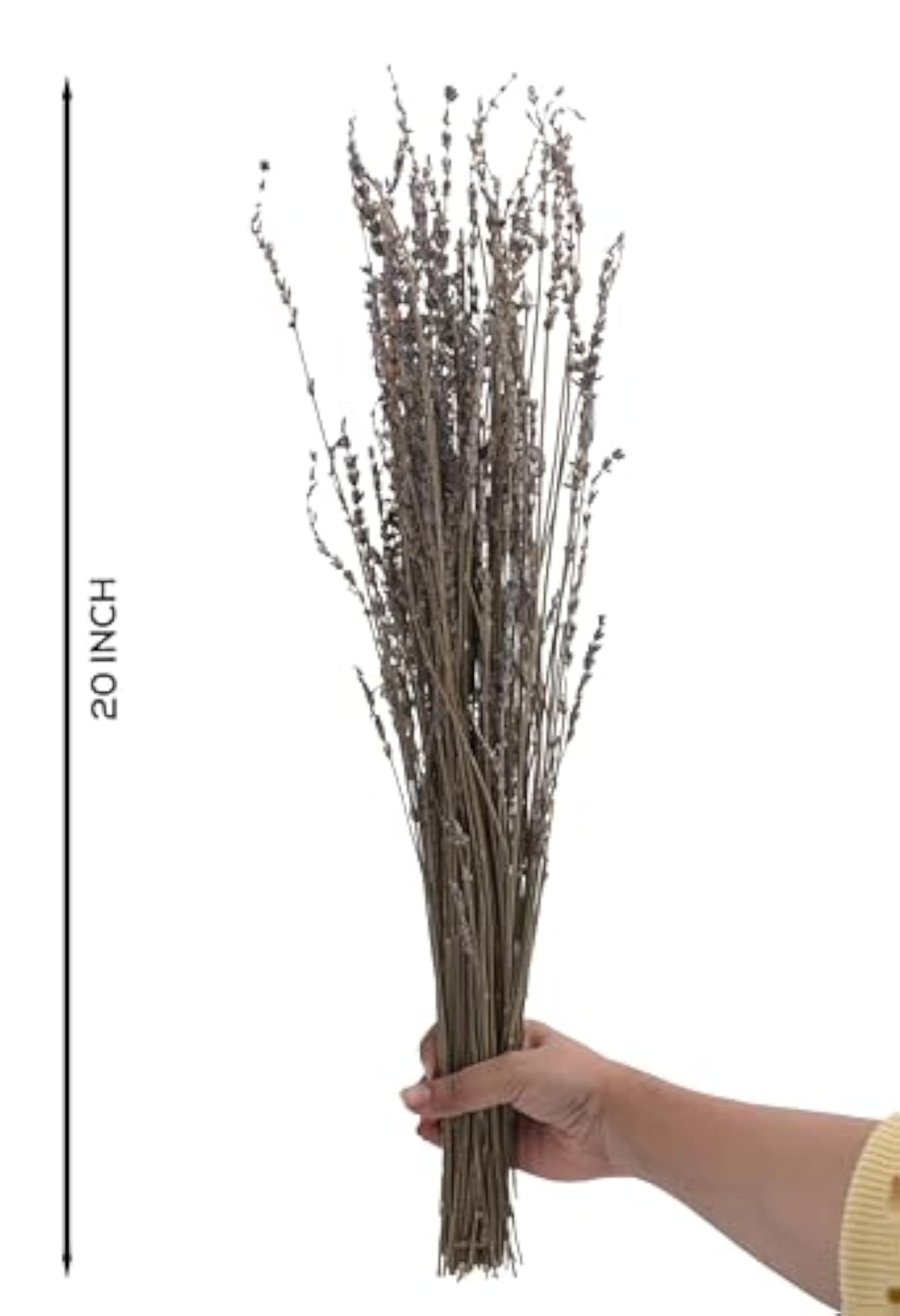 Preserved Lavender Bundle for Home Decor