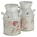 HEALLILY 2Pcs di Metallo Rustico Vaso di Fiori Shabby Chic Vintage Agriturismo Brocca Vasi Zincato Latte Può con Maniglia per La Decorazione Domestica