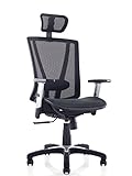 Ergomax MSH112BK Ergonomic Height Adjustable Home Office All Mesh Desk, Lumbar Support & Back Relief Breathable Chair, 53 Inch Max, Black