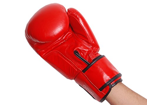 Image of RXN Training Sparring Boxing Gloves for Men & Women | Amateur Boxing Gloves for Training, Sparring & Heavy Bag Work | Multi-Layer Foam Padding | Secure Wrist Support