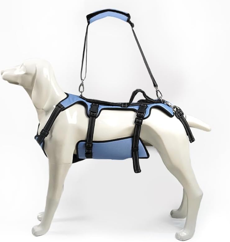 Coodeo Dog Lift Harness, Support & Recovery Sling, Pet Rehabilitation Lifts Vest Adjustable Breathable Straps for Old, Disabled, Joint Injuries, Arthritis, Paralysis Dogs Walk (XXLarge)