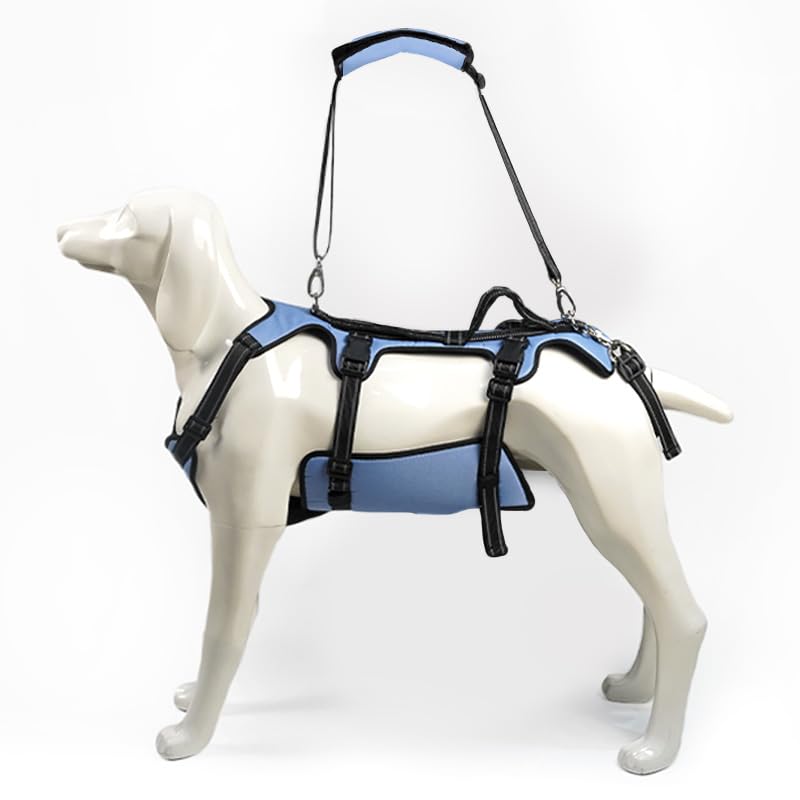 Coodeo Dog Lift Harness, Support & Recovery Sling, Pet Rehabilitation Lifts Vest Adjustable Breathable Straps for Old, Disabled, Joint Injuries, Arthritis, Paralysis Dogs Walk (XXLarge)